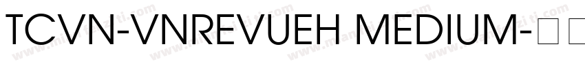 TCVN-VnRevueH Medium字体转换
